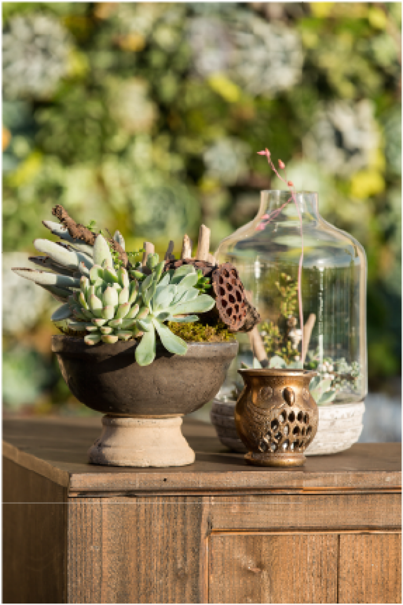 Event Floral Design Footed Terrarium